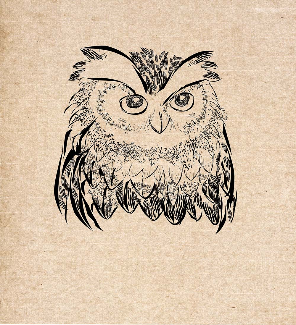 Illustration Design by ouimi for this project | Design #16645061