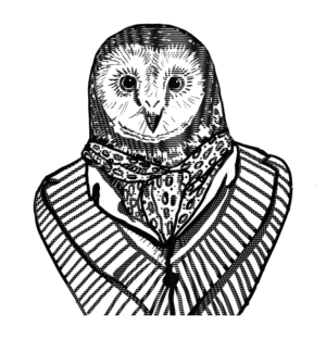 Illustration Design by JoBeeOne