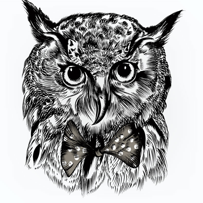 Design Illustration par Kofi 2 pour ce projet | Design #16501578