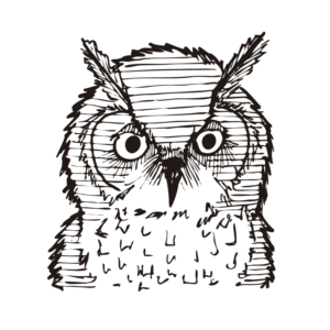 Illustration Design by verpa
