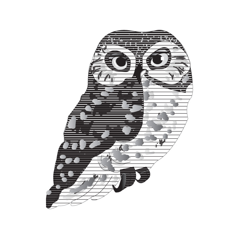 Illustration Design by ktgrandy for this project | Design #16502152