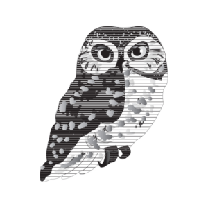 Illustration Design by ktgrandy for this project | Design #16502152