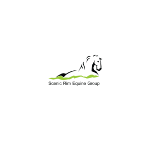Logo-Design von Pudja Pratama Sakti für RAM Biz | Design: #16685360