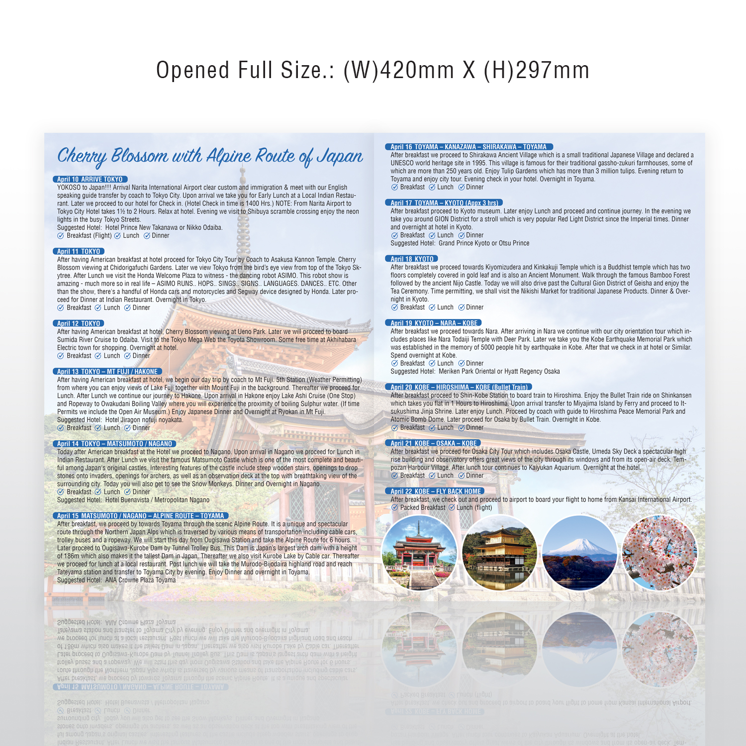 Flyer Design by - SWING - for this project | Design #16518264