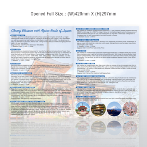 Flyer Design by - SWING -