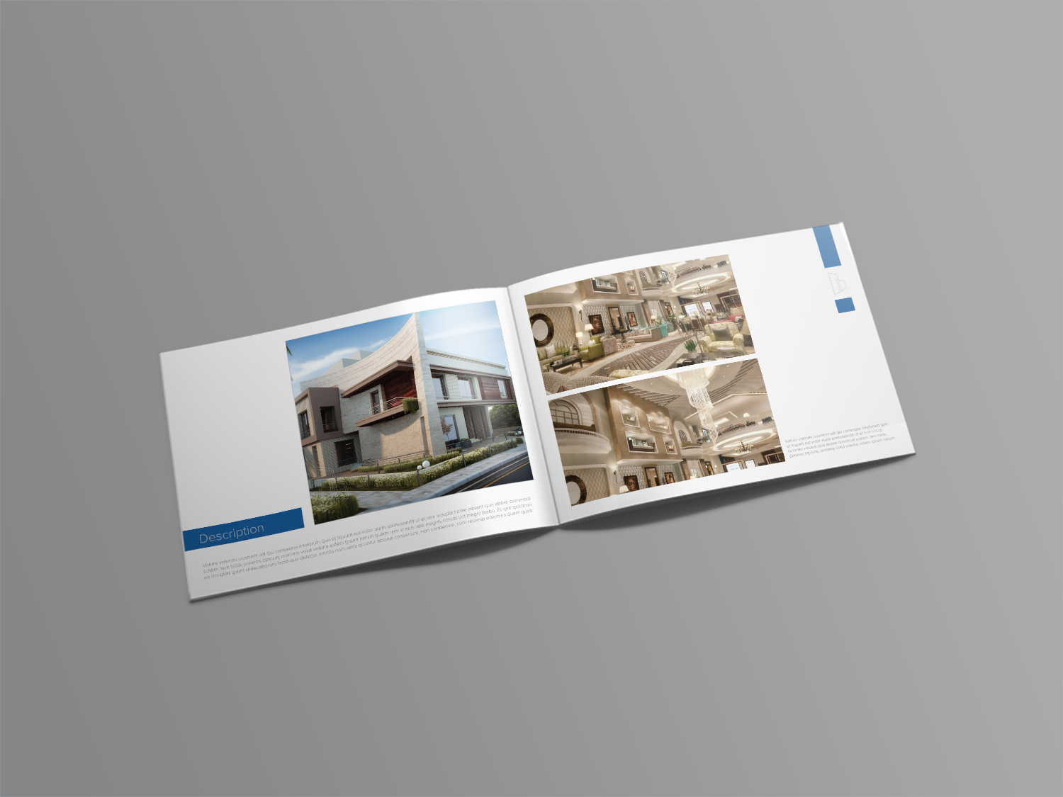 Design de Catalogue par banedsgn pour d&d | Design #16694630
