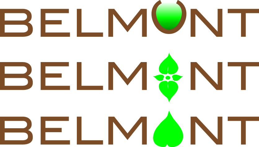 Diseño de Logo por Andrew Coyle para Belmont Construction Corporation | Diseño #43648