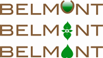 Diseño de Logo por Andrew Coyle para Belmont Construction Corporation | Diseño #43648