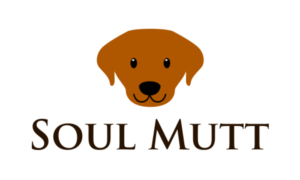 Design de Logo par king solangi pour ce projet | Design : #16521395