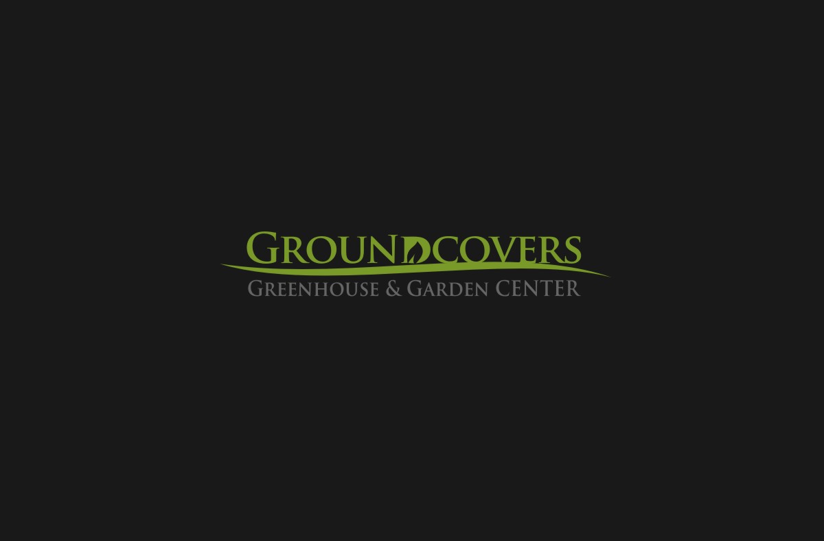 Logo Design by Miho sakaguchi for Groundcovers Greenhouse | Design #16559337