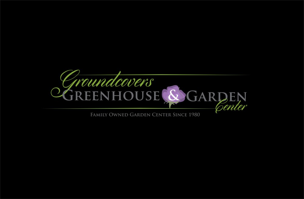 Logo Design by Miho sakaguchi for Groundcovers Greenhouse | Design #16559340