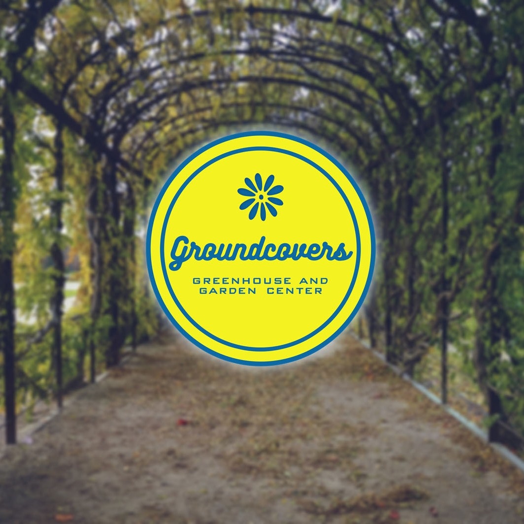 Logo Design by alexandranique for Groundcovers Greenhouse | Design #16548190