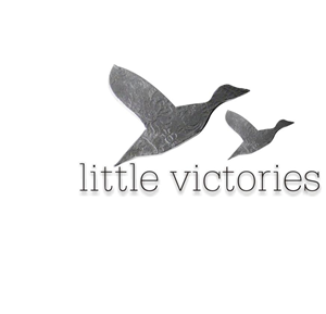 Logo Design by riturajkansal1