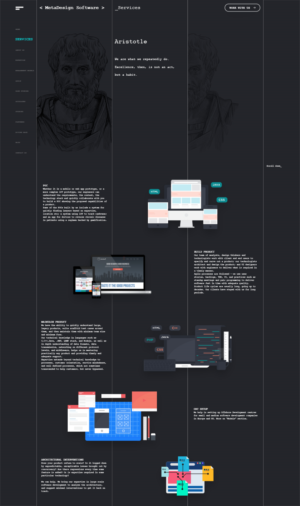 Web Design by insert name here for MetaDesign Software | Design #16608549