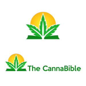 Logo Design by Nerufix