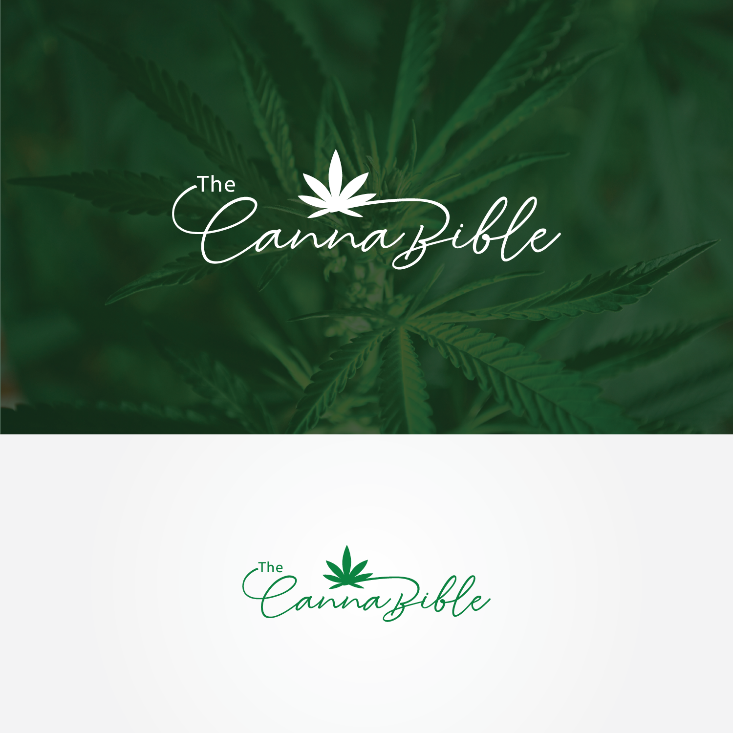 Diseño de Logo por Vndesign2018 para este proyecto | Diseño #20358402