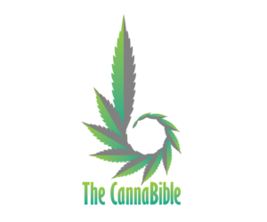 Logo Design by Vlad Andric for this project | Design: #20410481