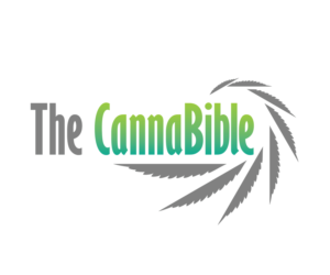 Logo Design by Vlad Andric for this project | Design: #20410500