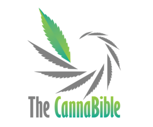 Logo Design by Vlad Andric for this project | Design: #20410505