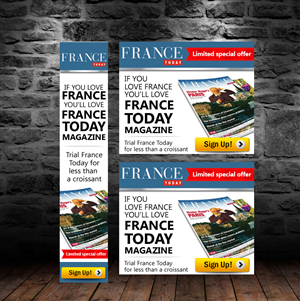 Banner Ad Design by MeMe Botrous for this project | Design: #2701089