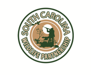 Logo Design by Hot Rod
