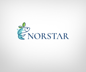 NORSTAR | Logo Design by Khoo