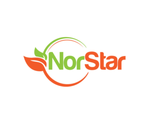 Logo Design by IconicEcho for Norstar Food Corporation | Design: #16545827