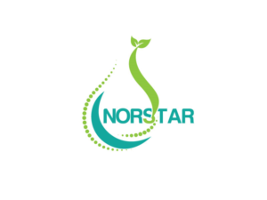 Diseño de Logo por roman reings para Norstar Food Corporation | Diseño: #16543552