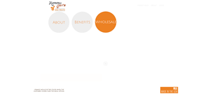 Wordpress Design by  Jen Garmon Designs