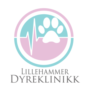 Logo Design by D-fineArts