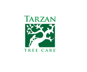 Logo Design by renderman