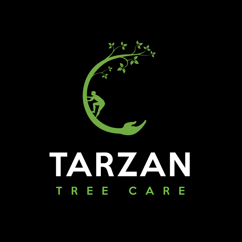Logo Design by ecorokerz for Tarzan tree care  | Design #16544568
