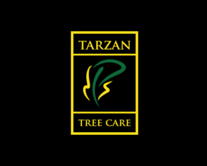 Logo Design by OWL