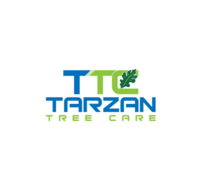 Logo Design by imsakiballhasan for Tarzan tree care  | Design: #16554189