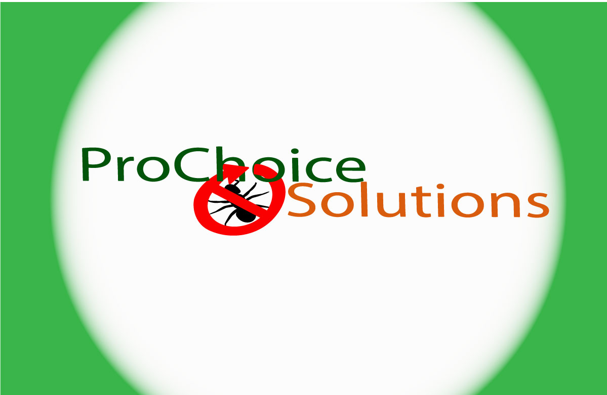 Logo Design by Claire Hatch for this project | Design #2671991