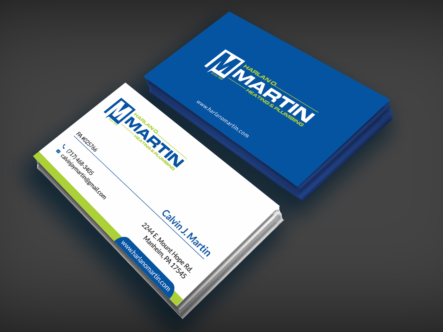 Business Card Design by SKYdesign for this project | Design #16563692