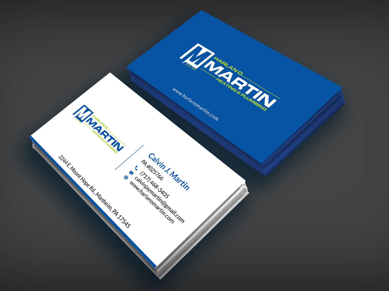 Business Card Design by SKYdesign for this project | Design #16563704