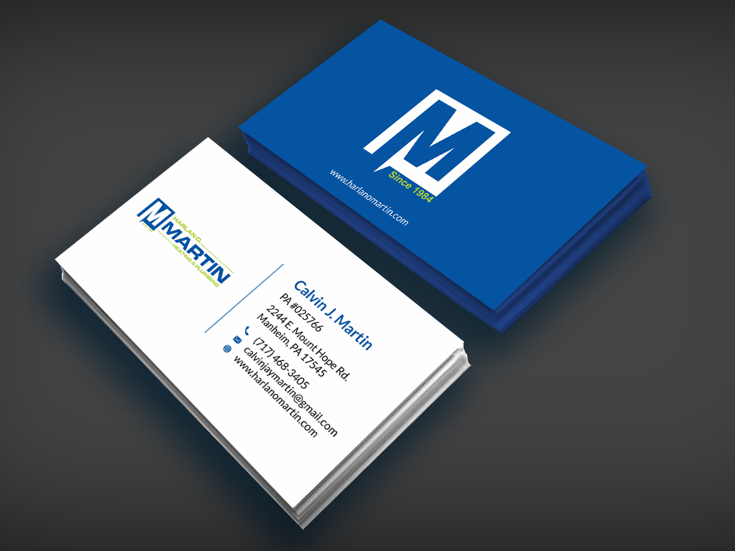 Business Card Design by SKYdesign for this project | Design #16563705