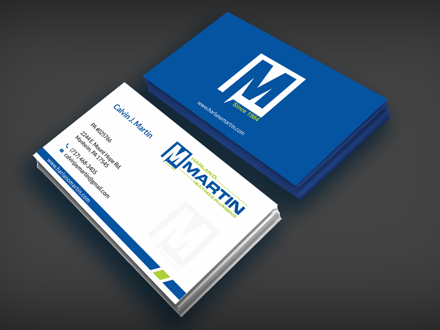 Business Card Design by SKYdesign for this project | Design #16563706