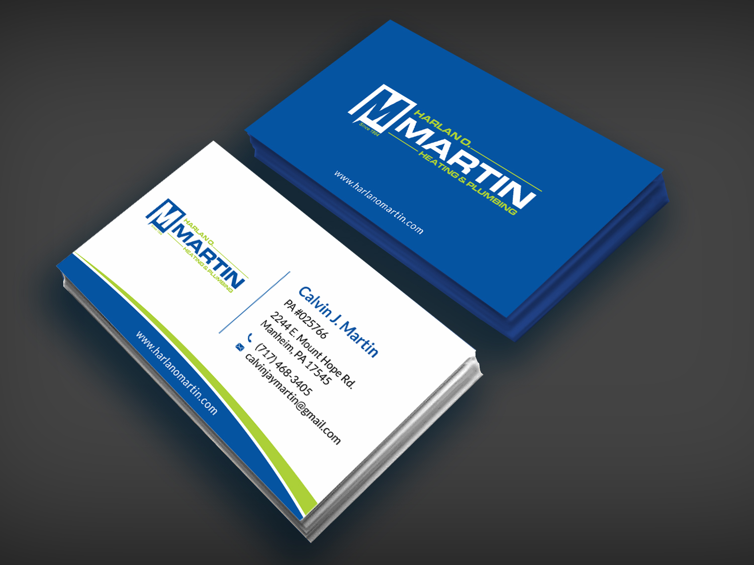 Business Card Design by SKYdesign for this project | Design #16563707