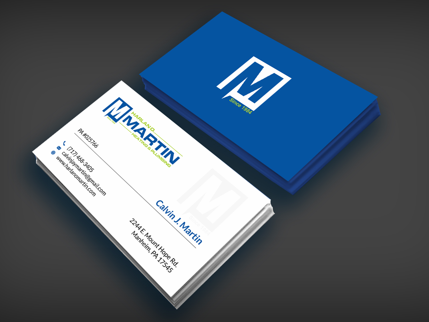 Business Card Design by SKYdesign for this project | Design #16563718