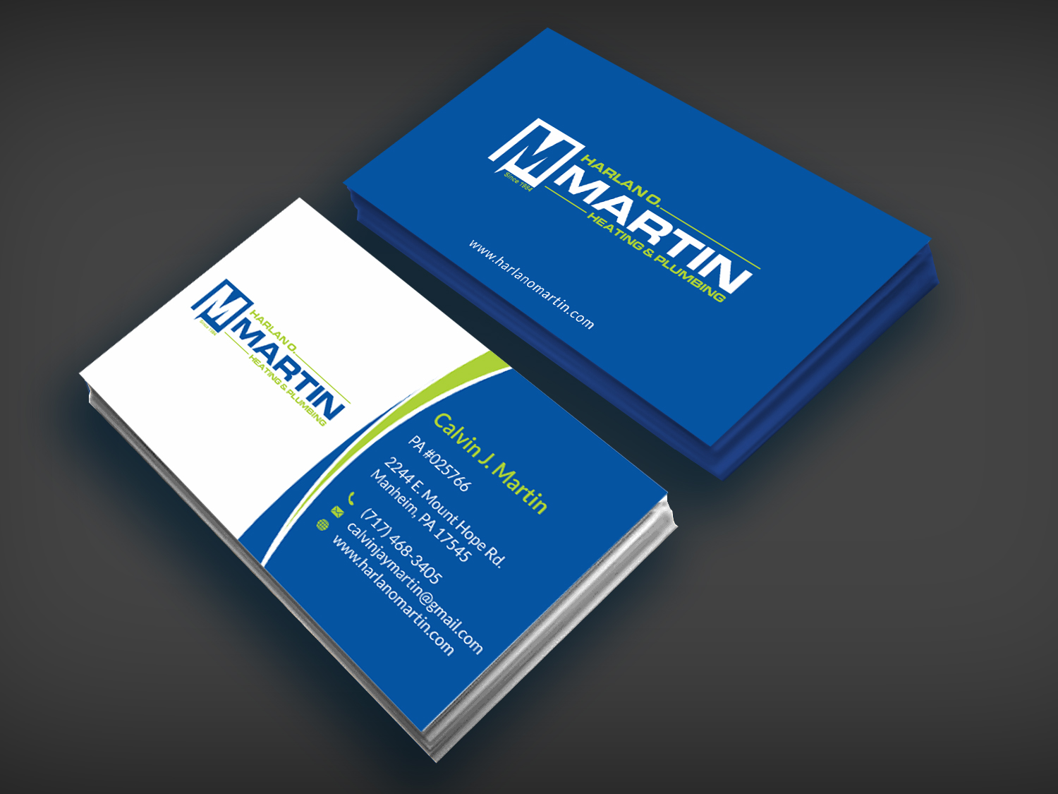 Business Card Design by SKYdesign for this project | Design #16563724