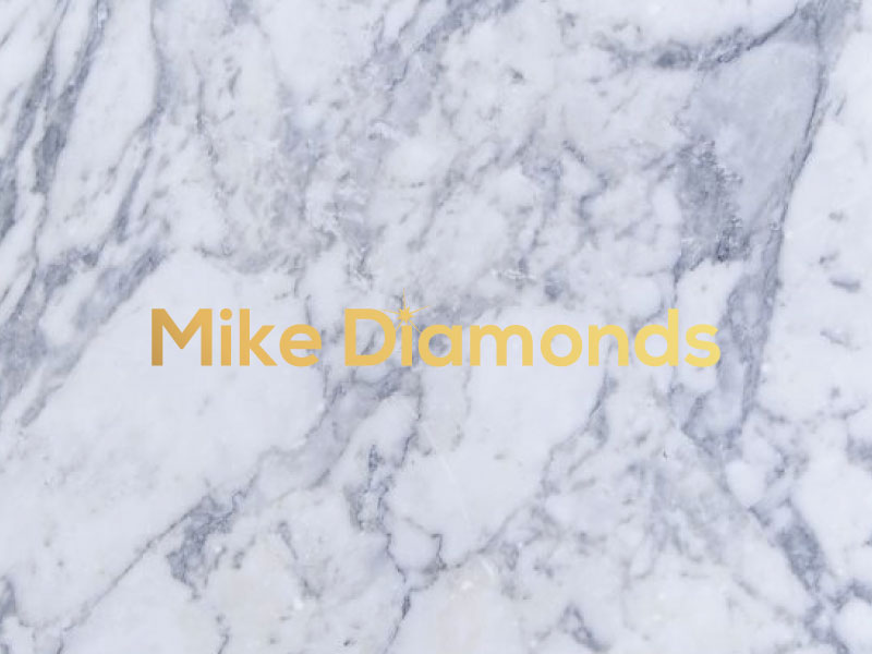 Diseño de Logo por roman reings para este proyecto | Diseño #16588690