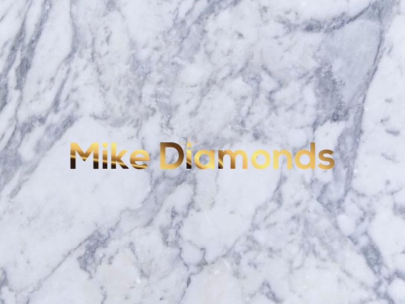 Diseño de Logo por roman reings para este proyecto | Diseño #16588691