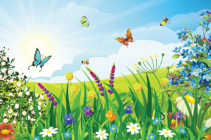 Educational signage for pollinator garden | Illustration Design by artexalt