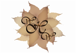 Logo Design by UsBeingUs.com - Debs for this project | Design: #43332