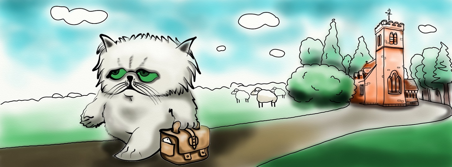 Illustration Design by evrenodesign for this project | Design #16756898