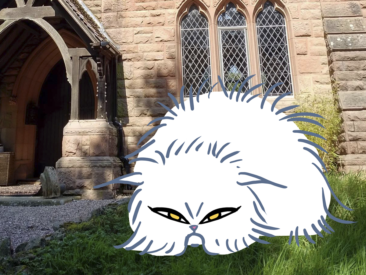 Illustration Design by licarto for this project | Design #16565608