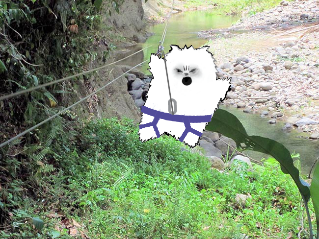 Illustration Design by Kristine for this project | Design #16715654