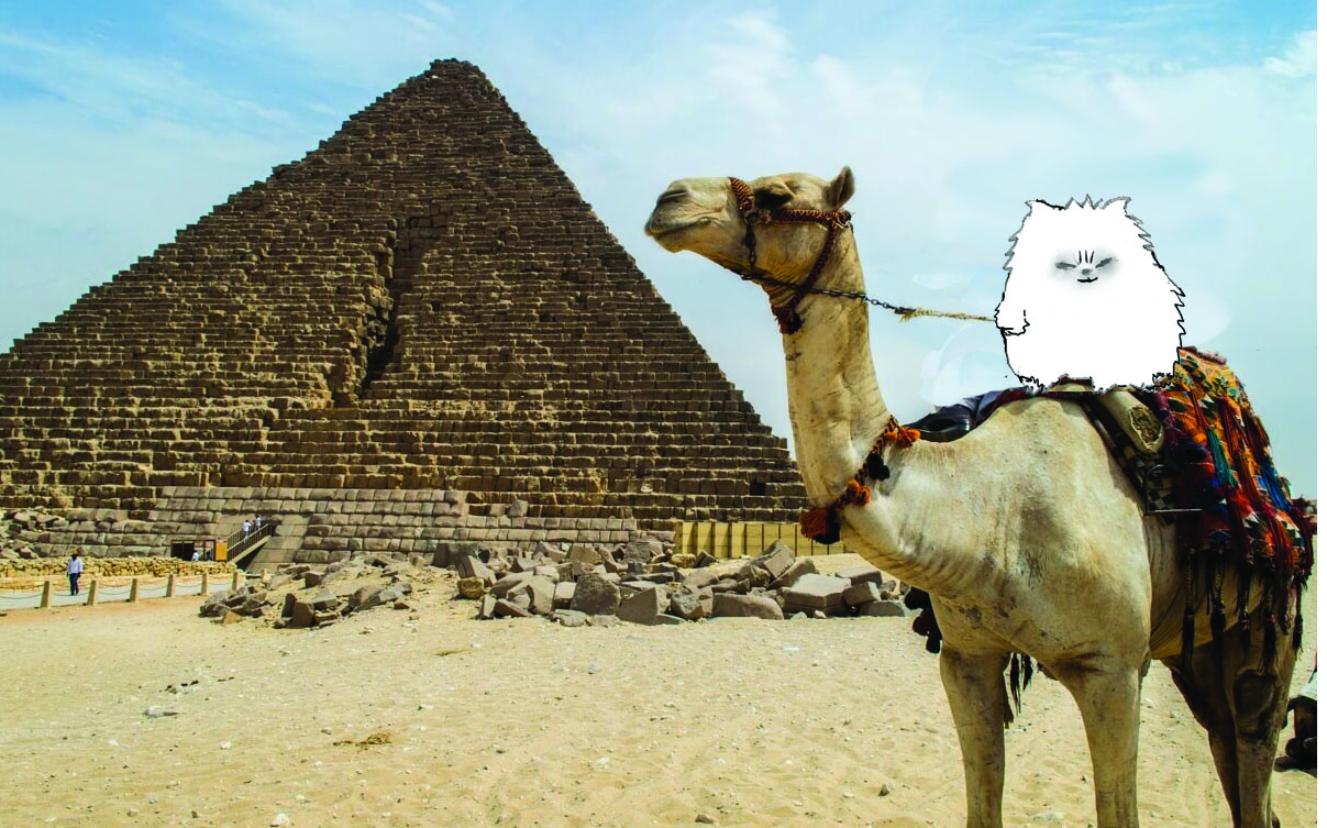 Illustration Design by Kristine for this project | Design #16729121